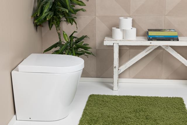 Installer des toilettes sèches dans une maison : les avantages et