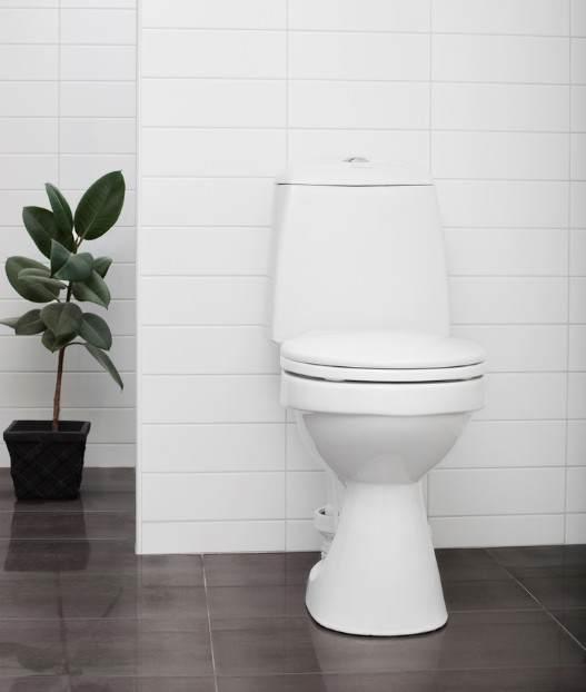 Urban Forest Nettoyant WC pour le nettoyage des toilettes et bidet, Nettoyant pour toilettes pour l'hygiène des toilettes & la fraîcheur des  toilettes